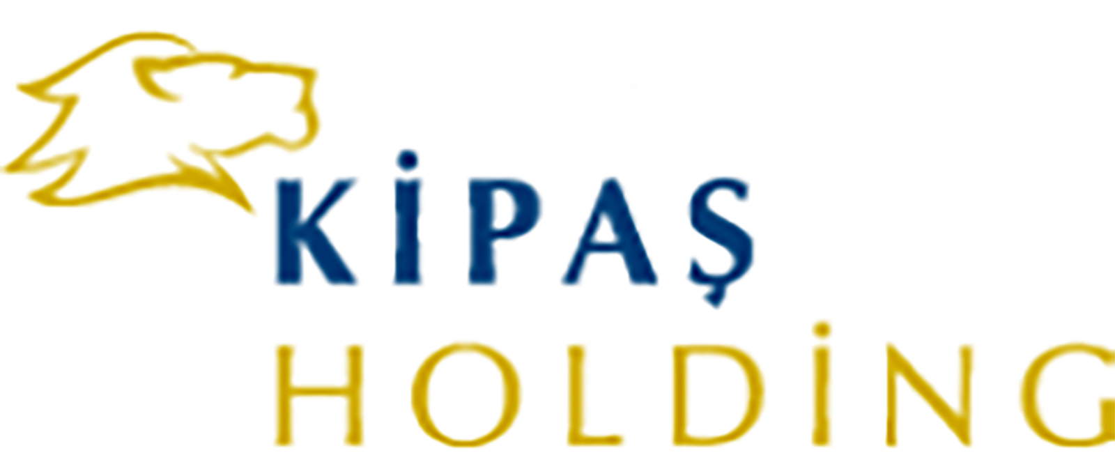 KİPAŞ HOLDİNG