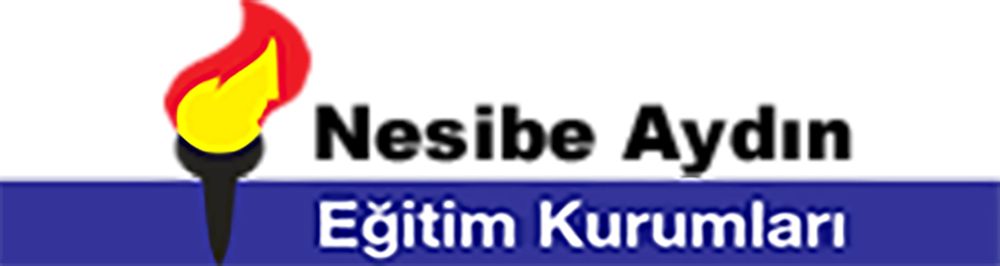 Nesibe Aydın